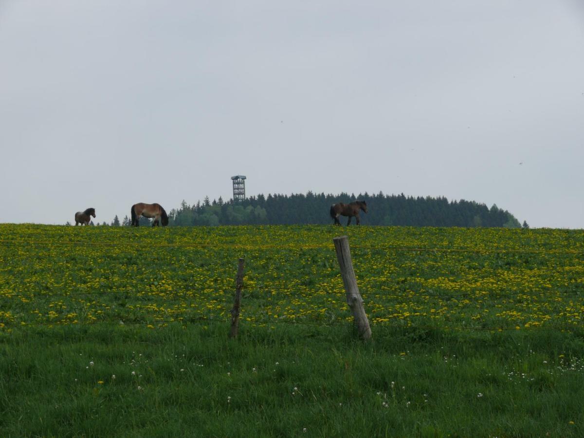 Ferienwohnung Nimm Dir Zeit Hinterhermsdorf Esterno foto